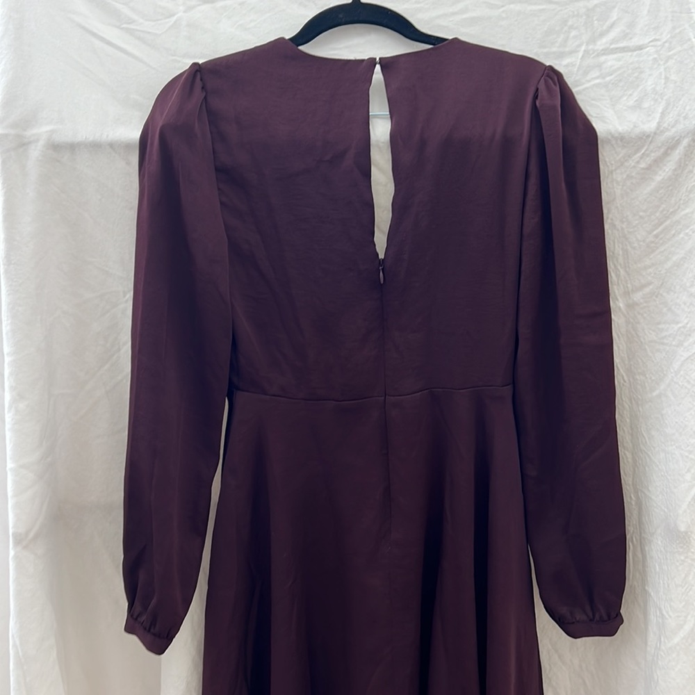 Express Dress - Picture 5 of 7